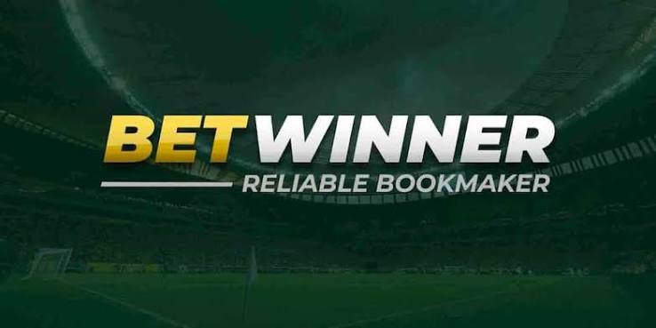 BetWinner Platform A Comprehensive Overview of Features and Benefits