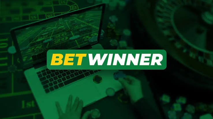 BetWinner Platform A Comprehensive Overview of Features and Benefits
